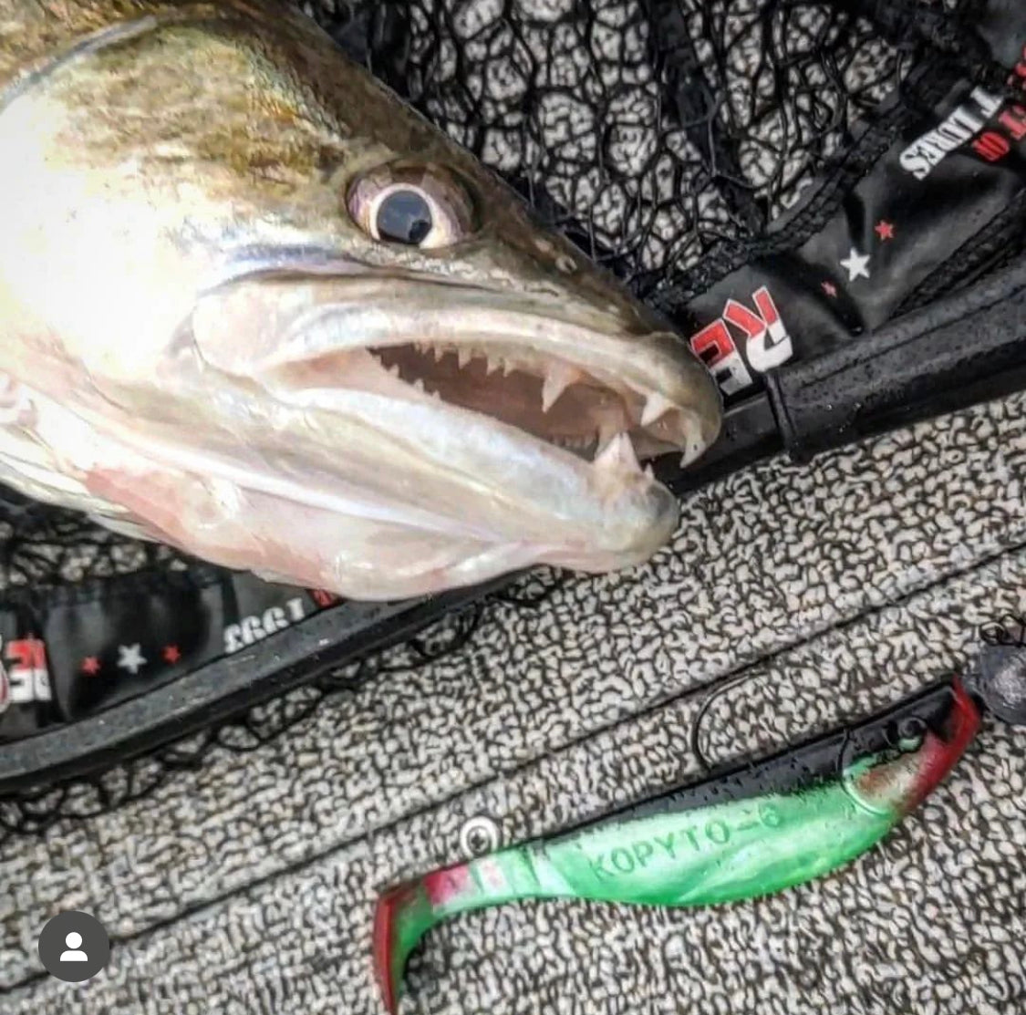 8cbe338075e5041a87cfeb7baa2ee618