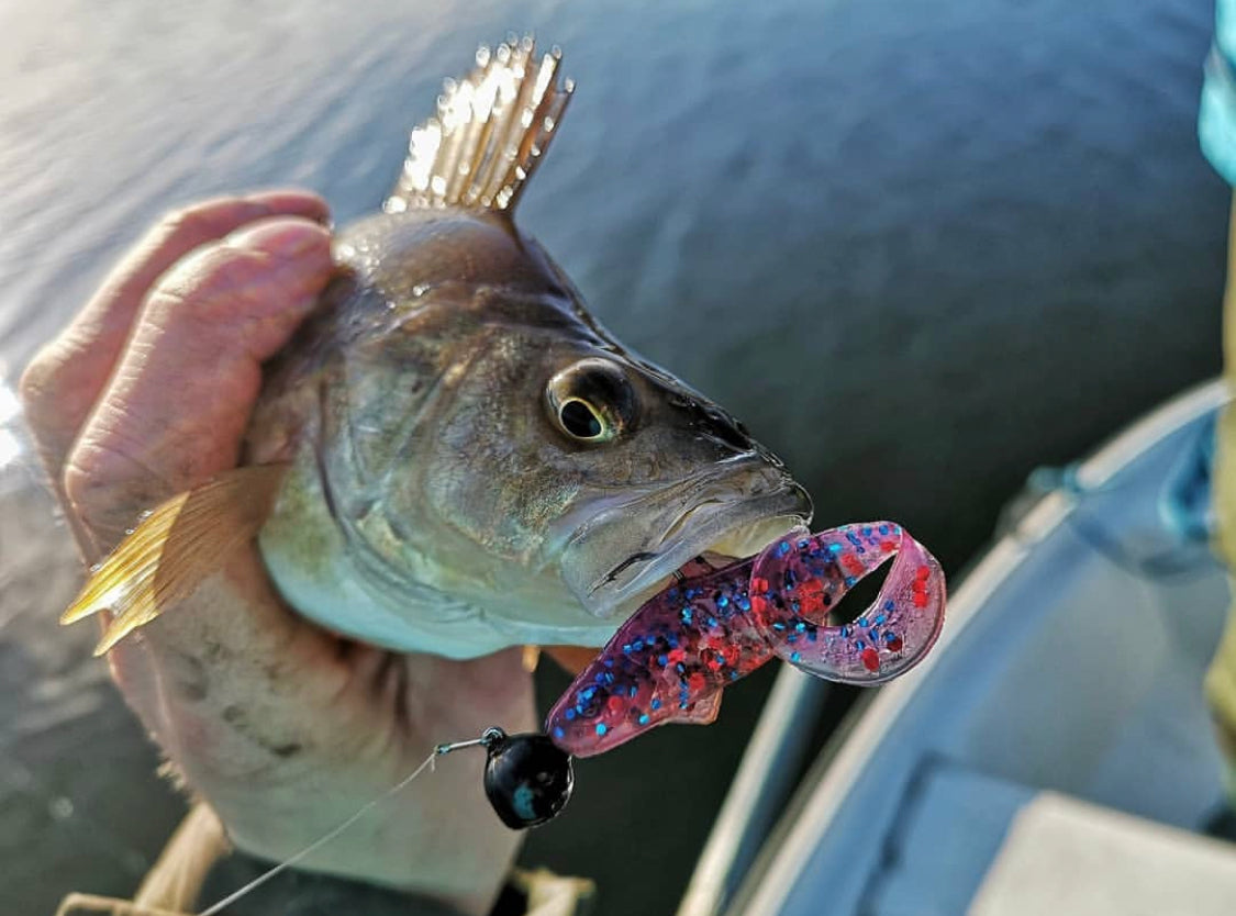 9fddce7d71e0c7f308cedbe2b7261747