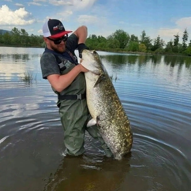 2ea5f230d00b553fc5d6b406957b68dc