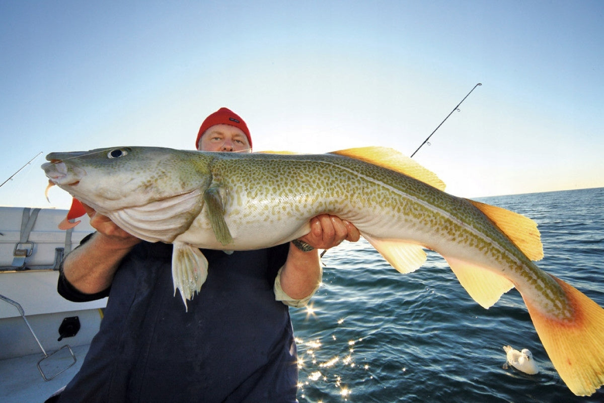 0d9c38da142f70d97904e446b615d4a1