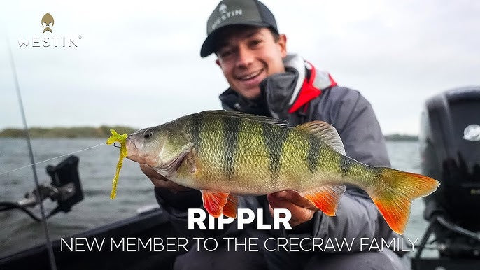 65d2a7e4d9570ce5d90cba0d314e5ba1