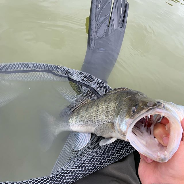 Relax GUMA NA SANDACZA KING SHAD 4'' - 11,5cm