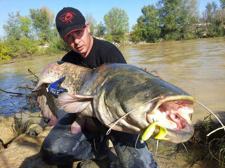 aa491cdd2d216484556e08a908bf9930