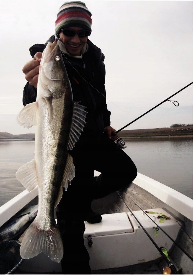 Relax GUMA NA SANDACZA KING SHAD 4'' - 11,5cm