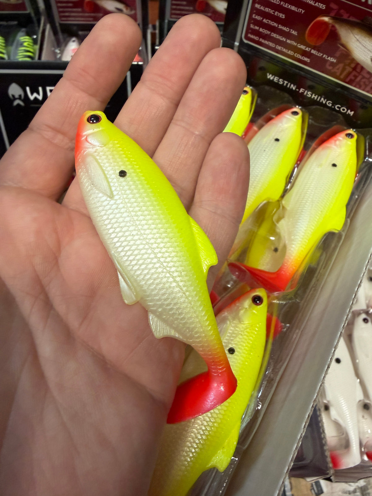 LIMITOWANY ! Guma Westin Ricky The Roach 10cm - Joker Dot EDYCJA DRAPIEŻNIK 1szt