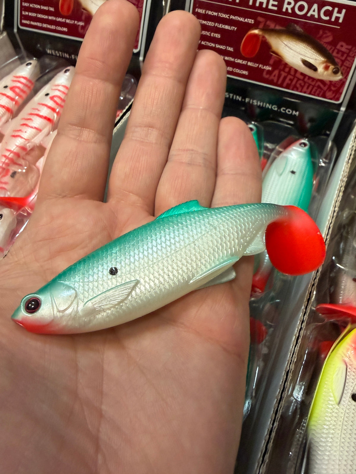 LIMITOWANY ! Guma Westin Ricky The Roach 10cm - Silent Dot EDYCJA DRAPIEŻNIK 1szt