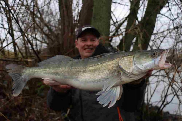 85bbe0d7808464b69a8c2bffacc06d10