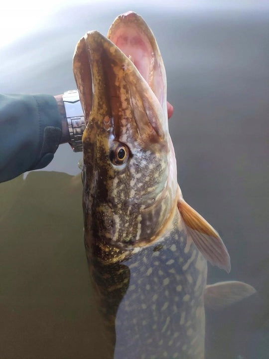 5d4fe9d87e46a045f25cbe904b9ccdb1