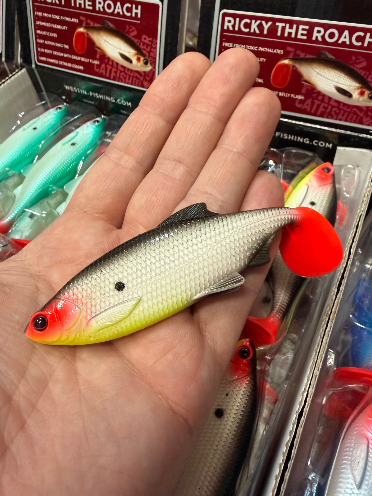 LIMITOWANY ! Guma Westin Ricky The Roach 10cm - Dumb Dot EDYCJA DRAPIEŻNIK 1szt