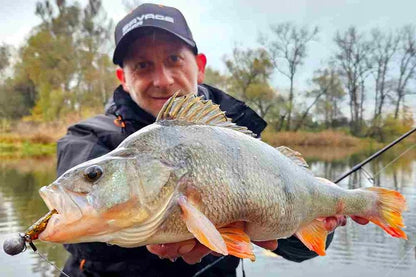 69a020d67ceecc75b5622ab405b5cb71