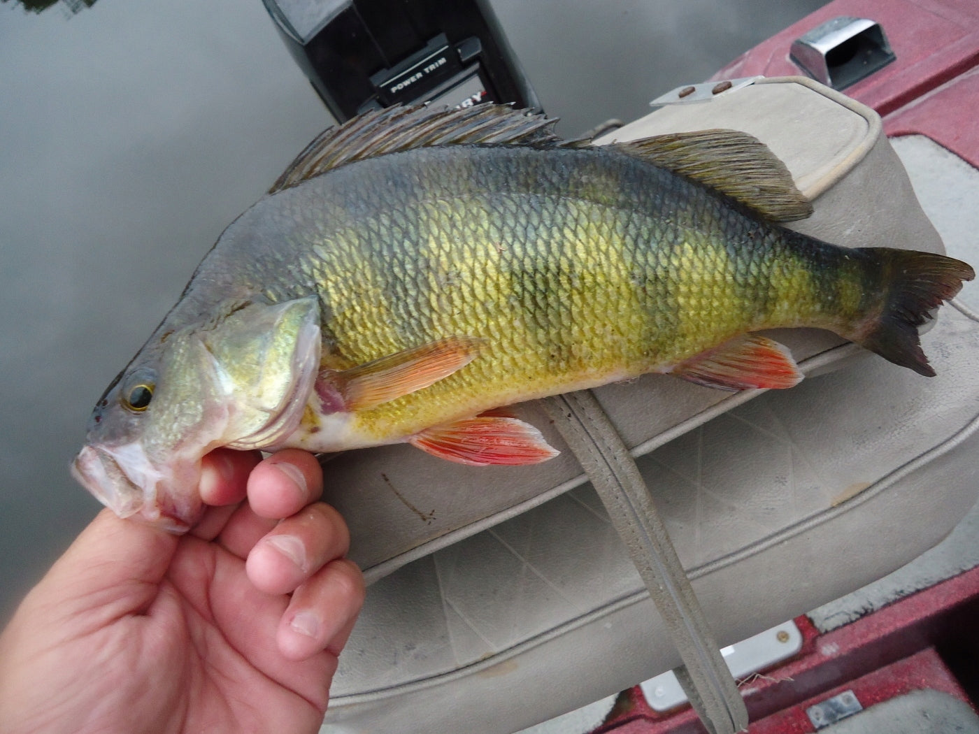 57140abf737a53c4752cac98ffb7f10c