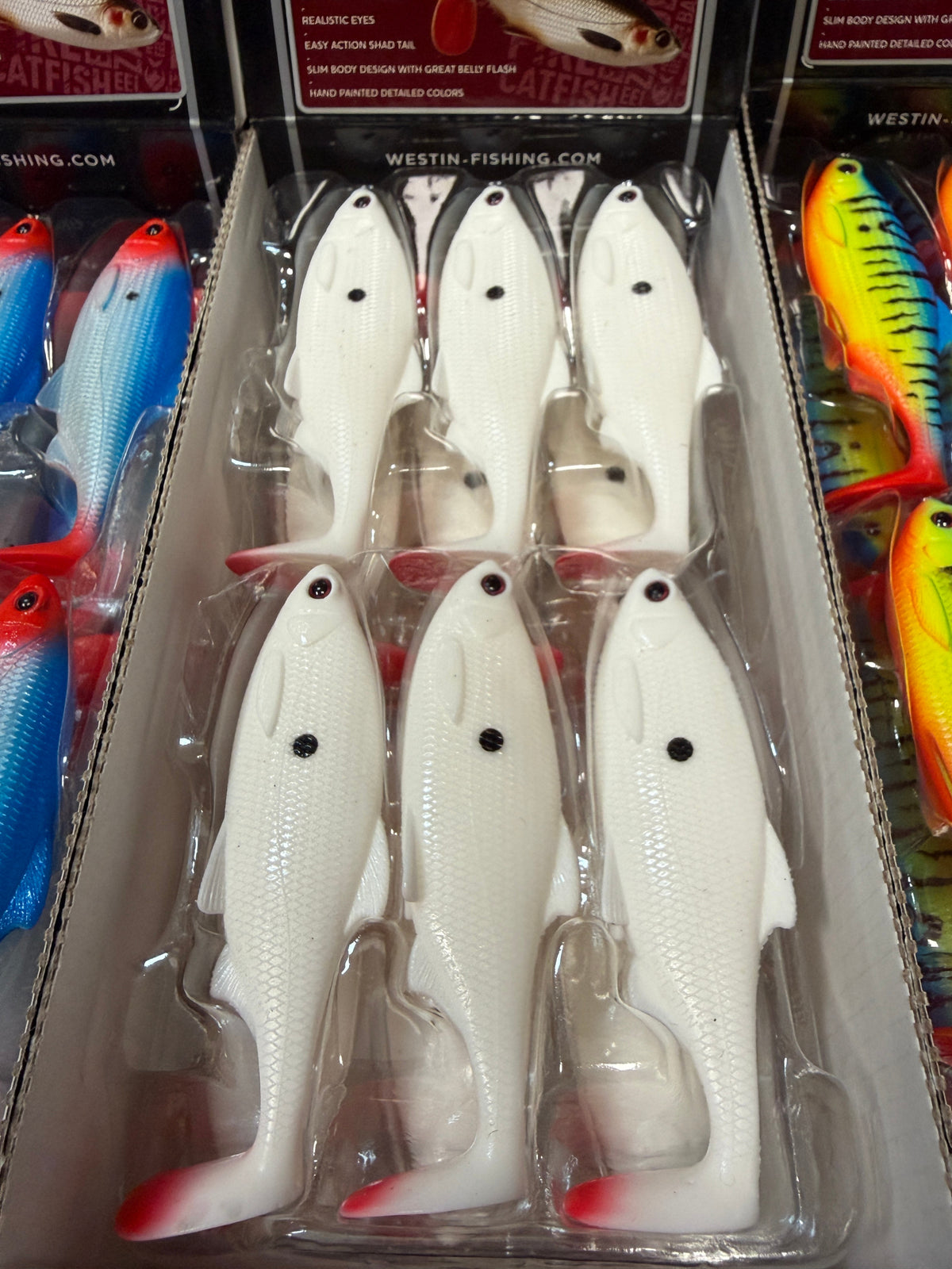 LIMITOWANY ! Guma Westin Ricky The Roach 10cm - Pure Dot EDYCJA DRAPIEŻNIK 1szt