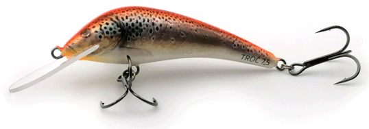 58c1ac1fe5c376a4ca9634aee53e2906