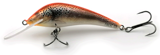 58c1ac1fe5c376a4ca9634aee53e2906