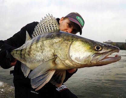 408ab491b9f3549bd33f771c7166654d