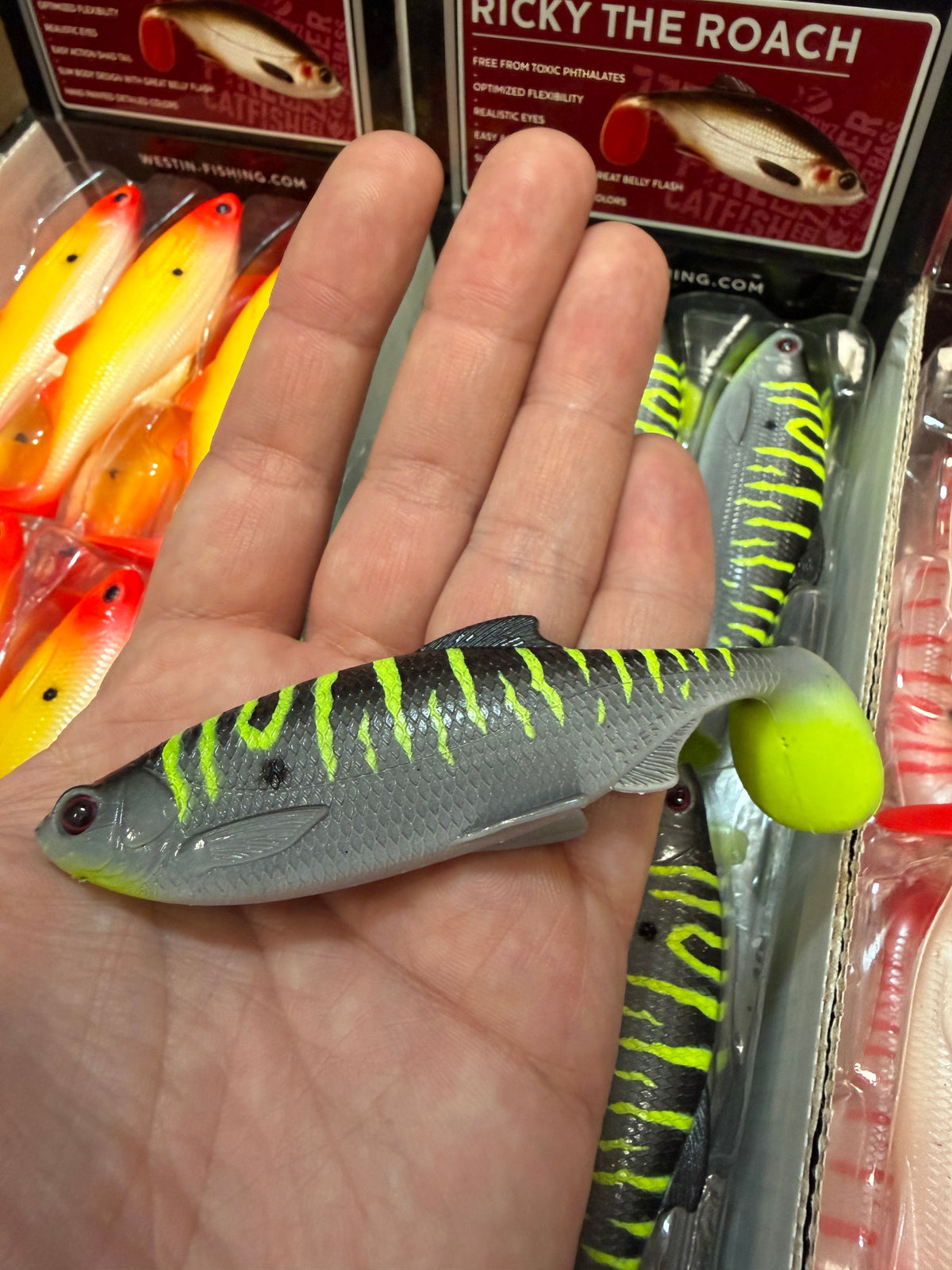 LIMITOWANY ! Guma Westin Ricky The Roach 10cm - Scary Dot EDYCJA DRAPIEŻNIK 1szt