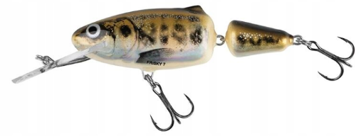 82020469ca485c8c64ff603030e54d20