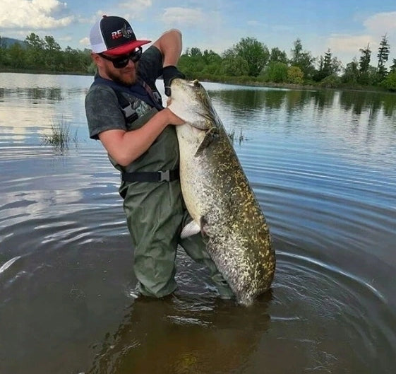 4b5637ee0de90946d3a4b72dce2e1732