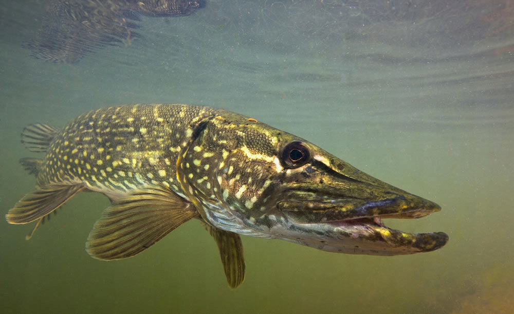 ce708c06e3b508c6996f1cfb088a3771