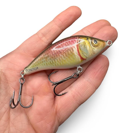 55686776b42d59c1bed4b109d18ba270