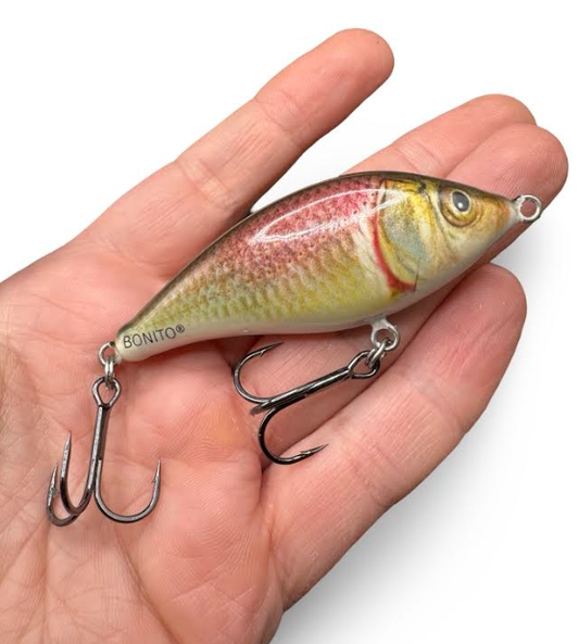 55686776b42d59c1bed4b109d18ba270