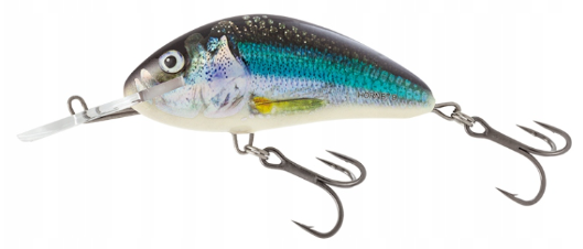 16526d0e1e4d447d31a45674bbfbf8f1