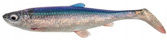 253db6170c848cb549a9aeb10a131017