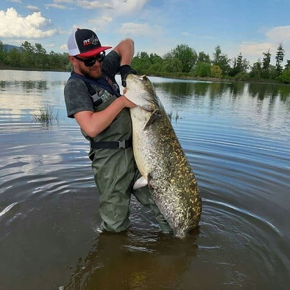 8534c0428588f03e7108adc391ddd2f6