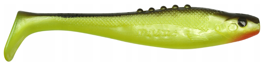 6d18e1bac1aa69b555303e6c26ab66b8