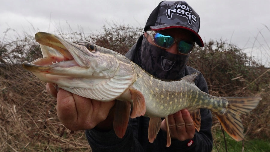 3586abe905684e1c59e576d2066f89b3