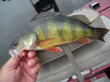 62b90a351597c107107738e83ed5c4f3