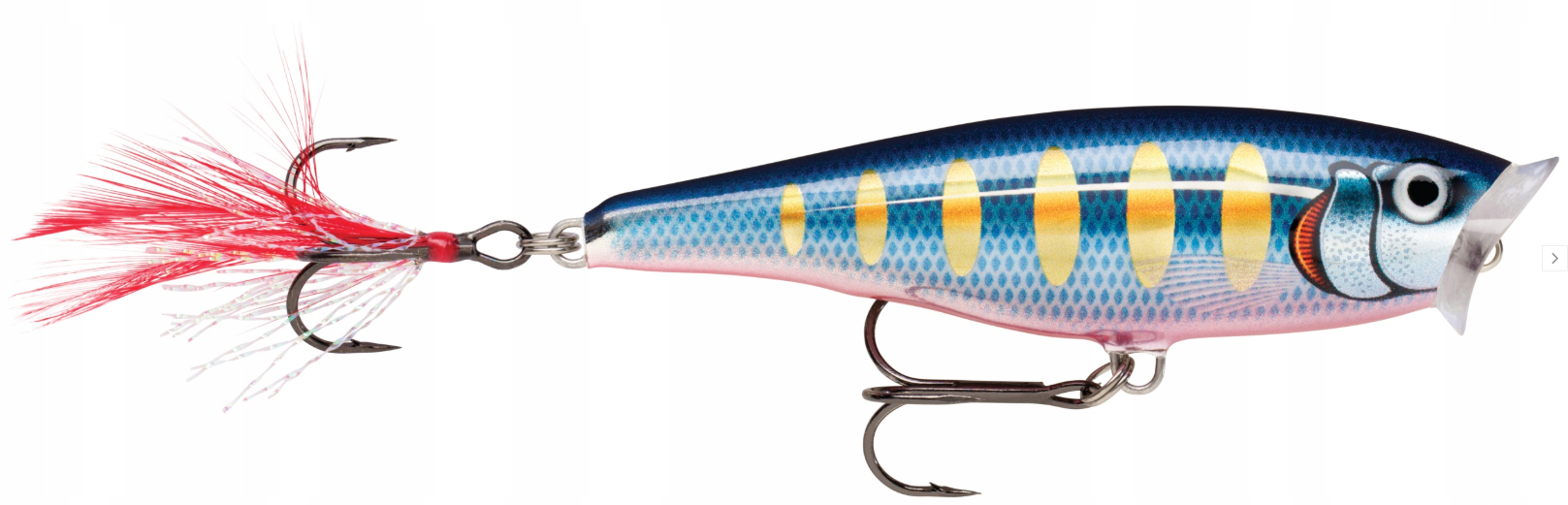 a5556c6e3c08577a368e4087c9fe71b0