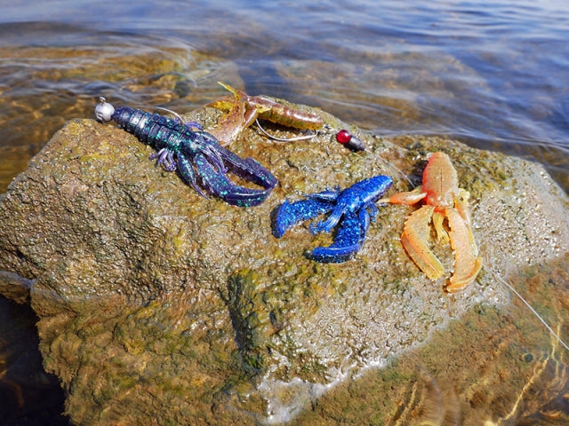 a275bfb9139885e7310f796ee9911fd6