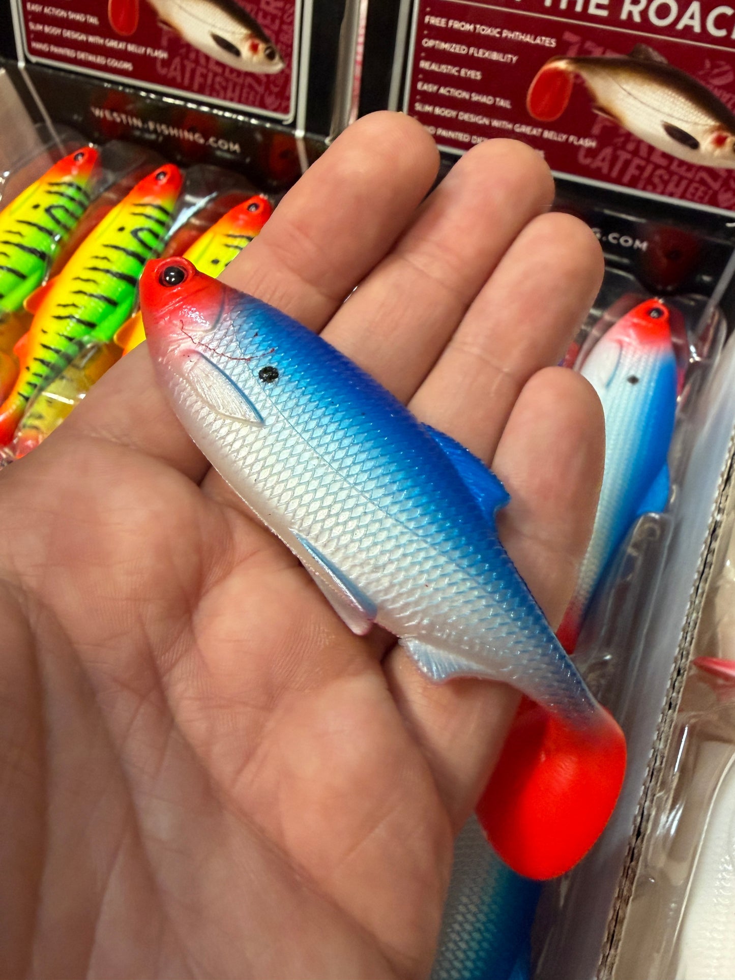 LIMITOWANY ! Guma Westin Ricky The Roach 10cm - Wanted Dot EDYCJA DRAPIEŻNIK 1szt
