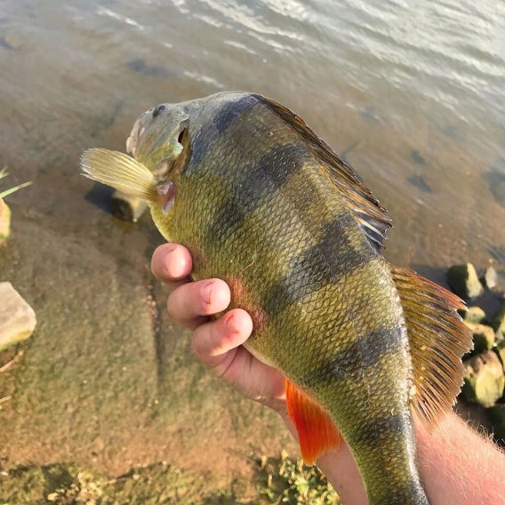 b18296b74ffb55634fe0a28d19de49af