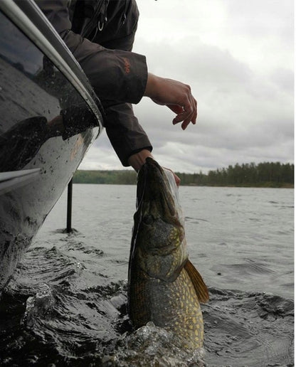 9023d5b5af5f790873a087935a61a723