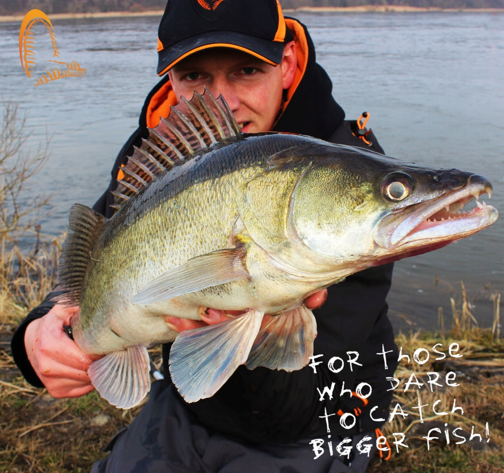 166865b3f9e63f22e040a76079415865