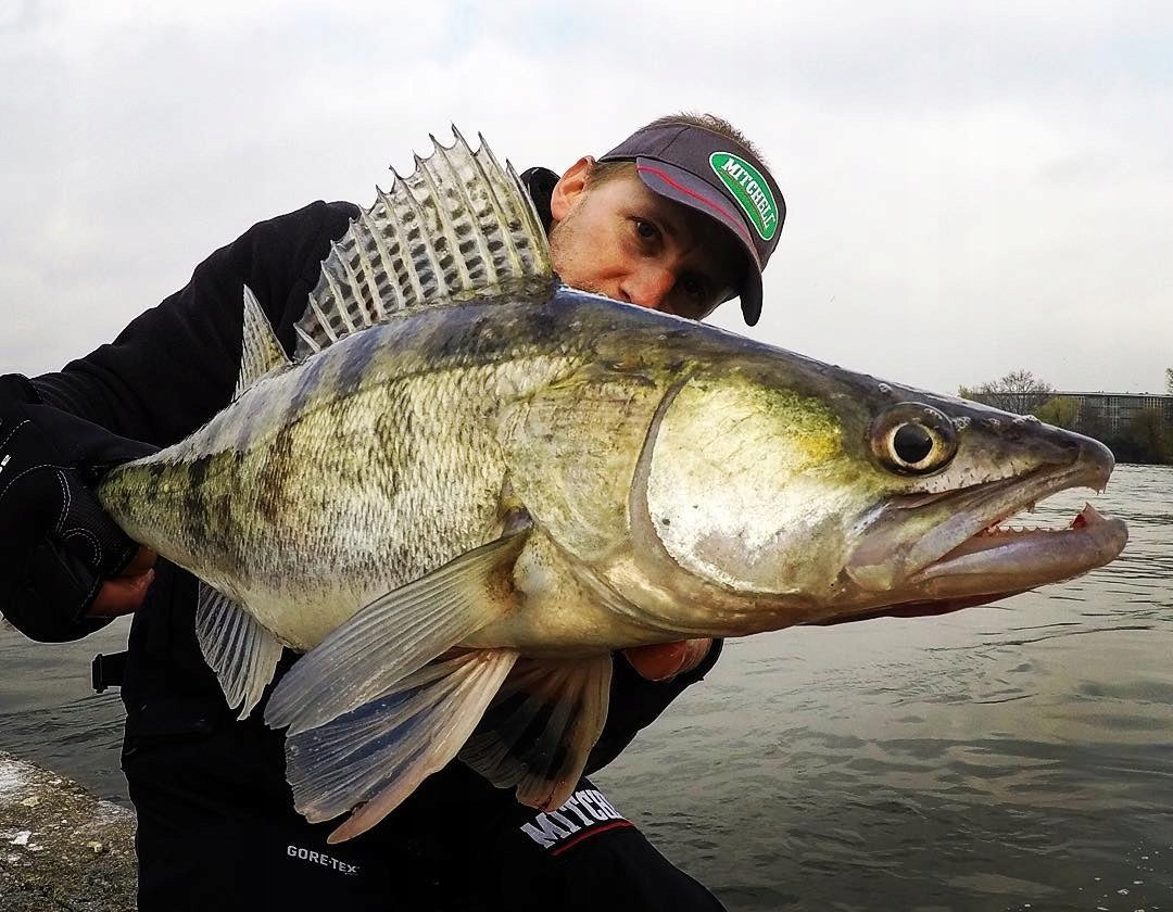 0b9cf5eab6f5587ec7efa9588f58d5dd