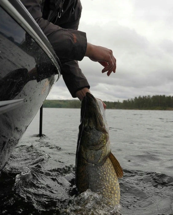 79d20882961ee3cbaea1d204a70a58c1