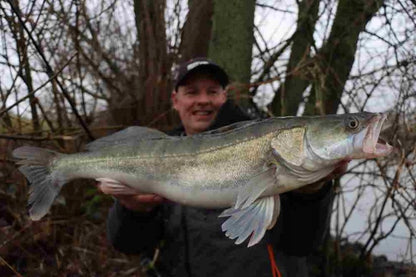 4fcd5ff78364ed045324446f4c9cc9c6