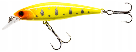 3f61f2b24a56dd65edff8c5fef718529