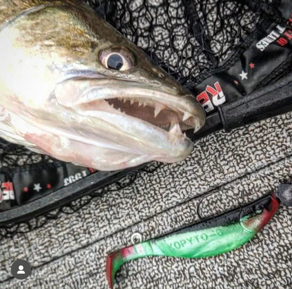 8cd3183995ec8163a142bafa5fa7e193