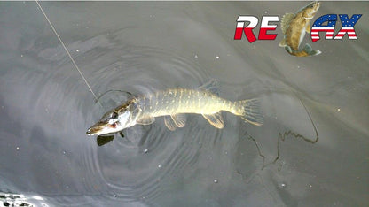 d50166babfaf97f94d9c62fc058bca9b