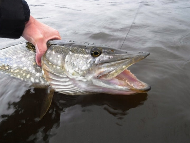 14725b71672b375b3a102273c4dbaa32