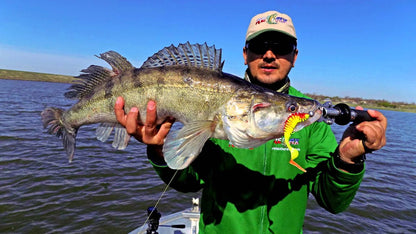 0ebcdd9fb9a055e45d568c8710bcb839