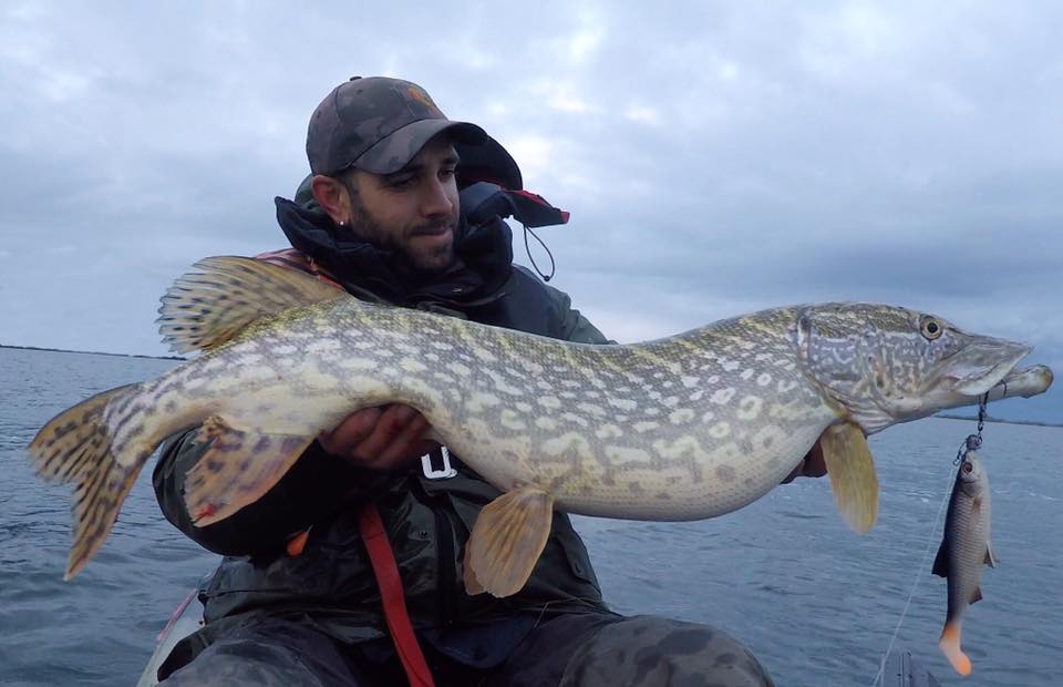 994f9a4c36820d0649010484adb40c3b