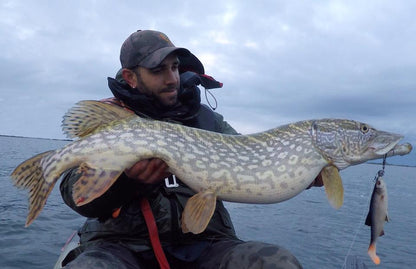 994f9a4c36820d0649010484adb40c3b