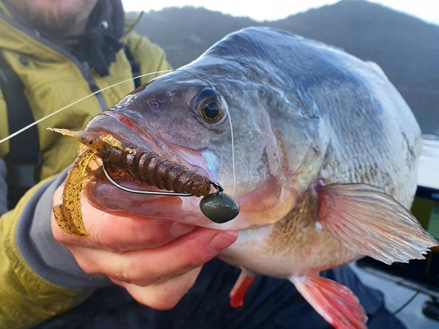 7ca9b02e0e0cfc177348b2e3eb561f06