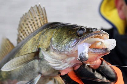 f692988705feb3d525974cb759a5477c