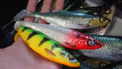 870d69742ced68b825734fd00bcefe74